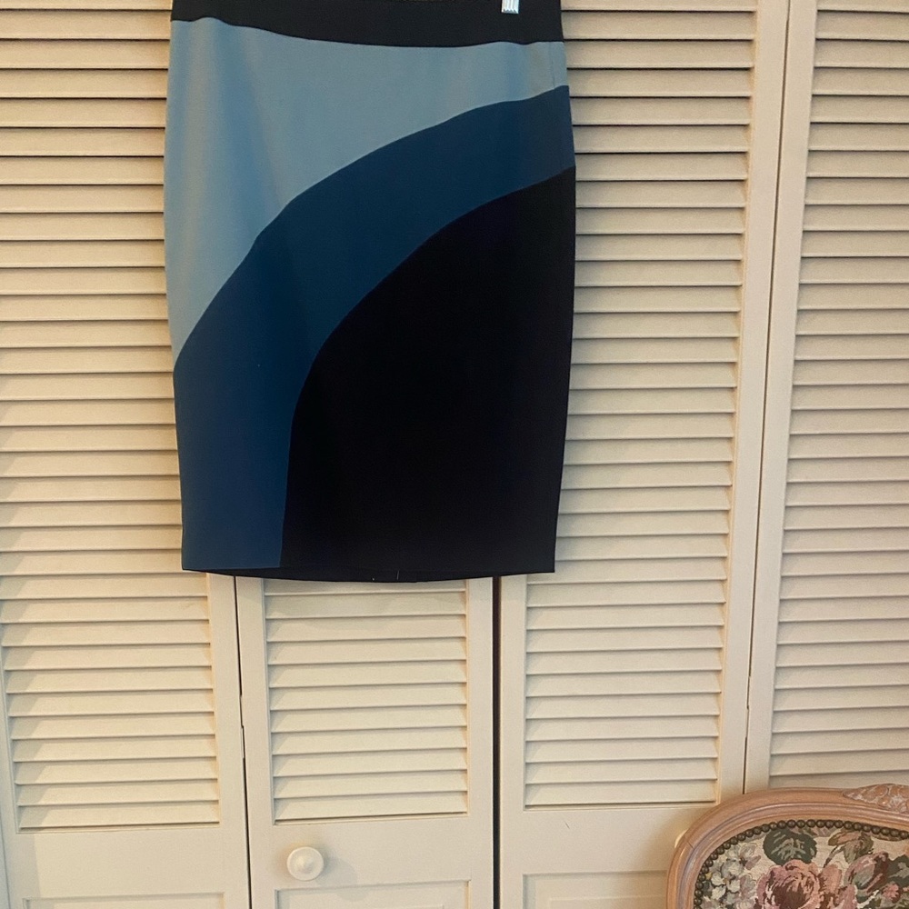 Ann Taylor Factory Skirt NWT